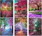 6 Pack Diamond Painting Kits for Adults & Beginners – Full Round 5D Diamond Art Landscape & Tree DIY Craft Set, Crystal Rhinestone Paint by Diamonds Kit, Home Wall Decor Gift (12 x 16 Inch)